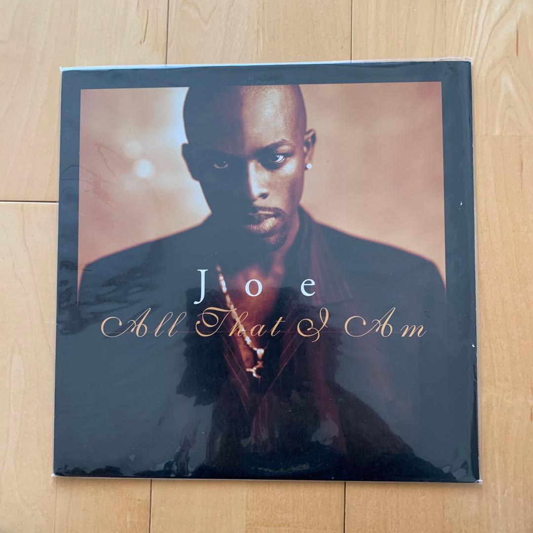 人気盤　Joe All That I Am レコード　USオリジナル