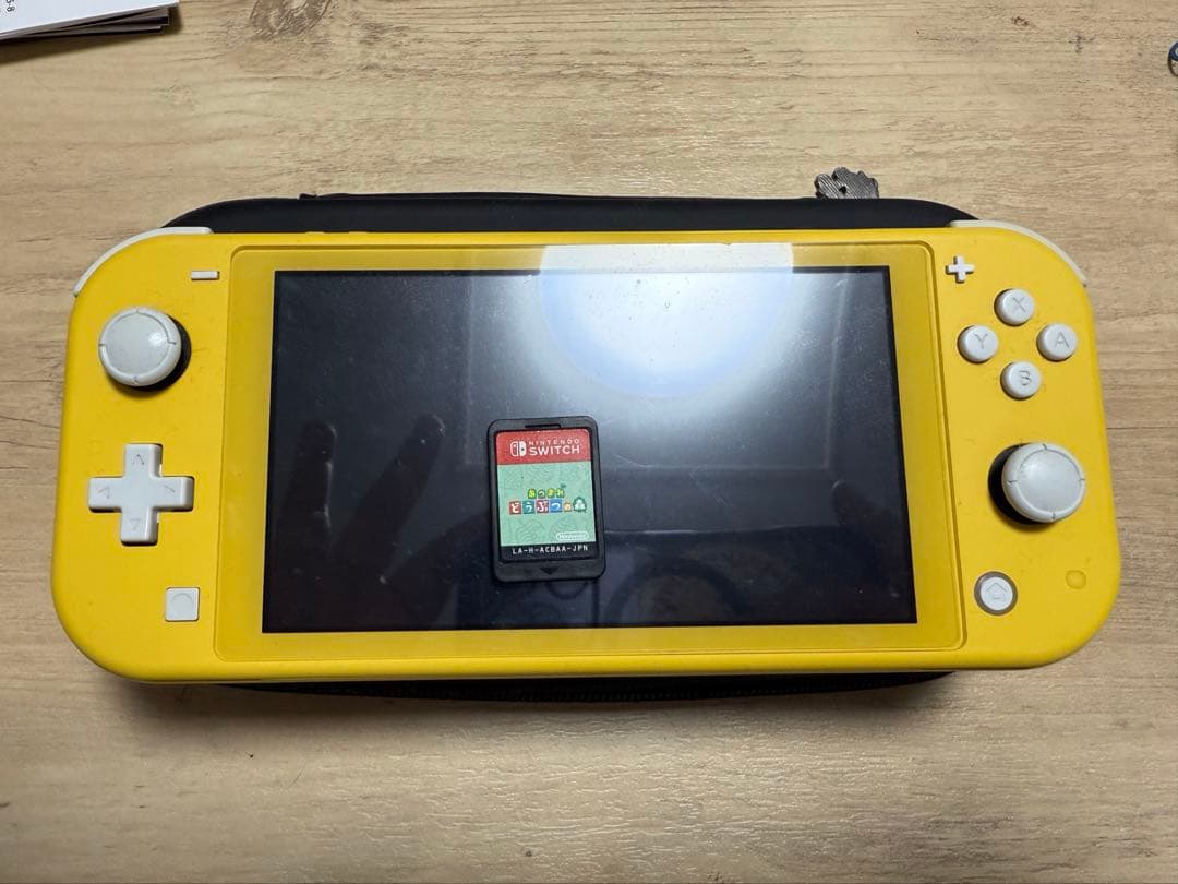 1*す様 Nintendo Switch lite あつ森付