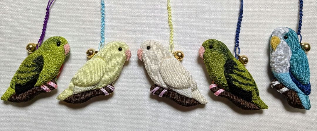 ヨウム　シルバー文鳥　サザナミインコ　　クリーム　グリーン濃・淡