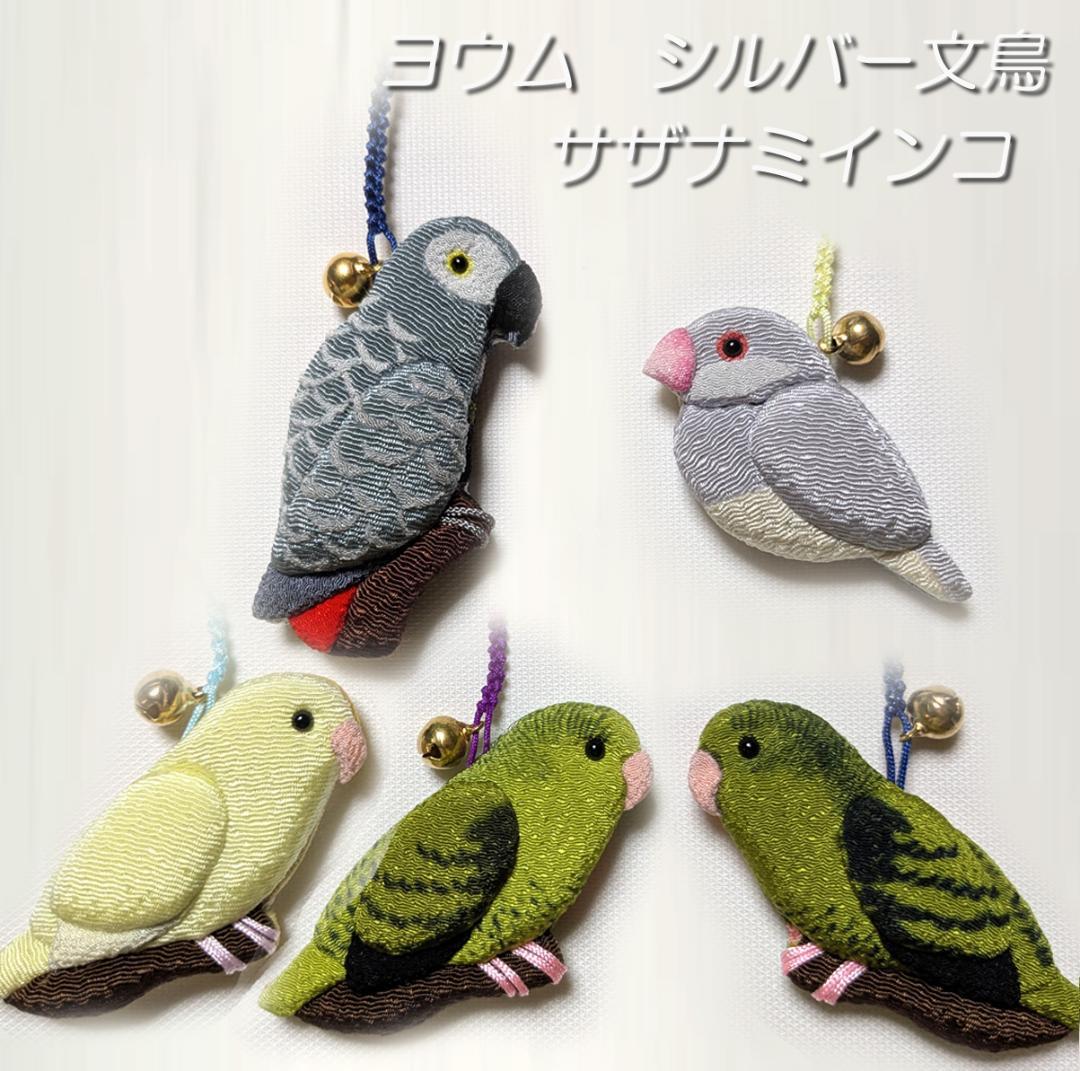 ヨウム　シルバー文鳥　サザナミインコ　　クリーム　グリーン濃・淡