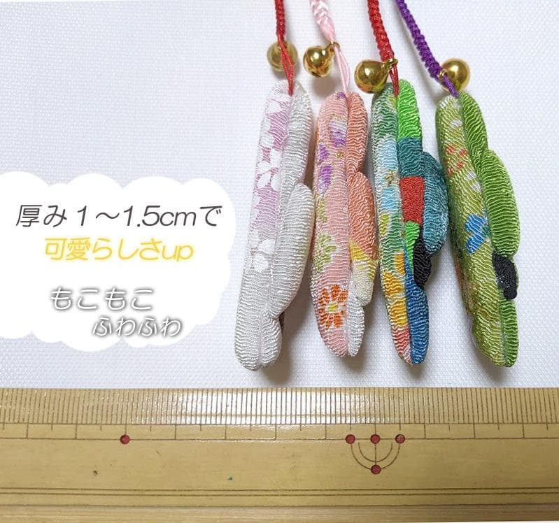 ヨウム　シルバー文鳥　サザナミインコ　　クリーム　グリーン濃・淡