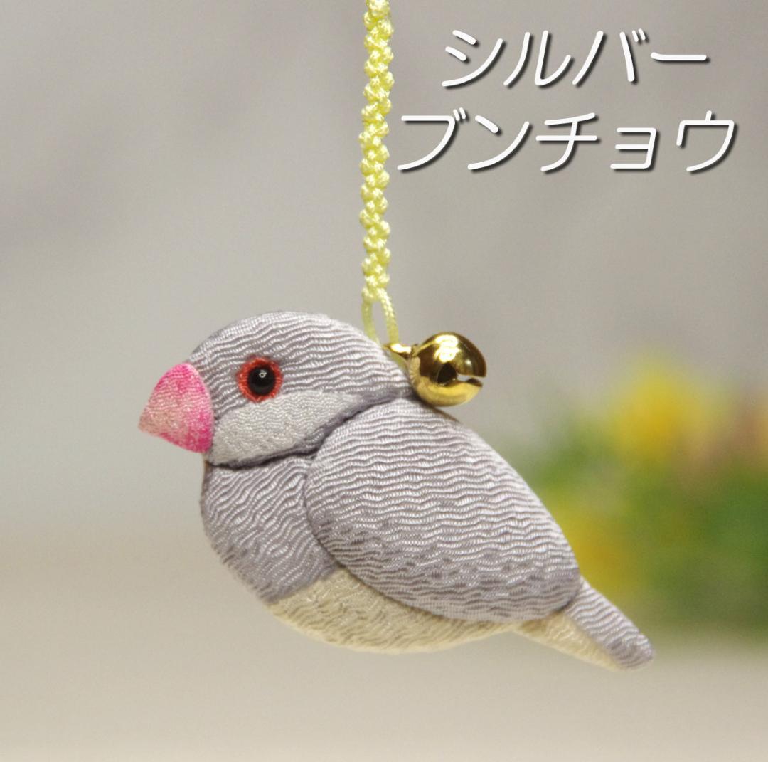 ヨウム　シルバー文鳥　サザナミインコ　　クリーム　グリーン濃・淡