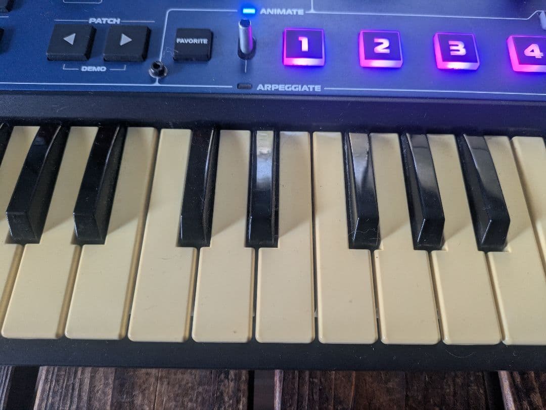 Novation MININOVA アナログシンセサイザー！