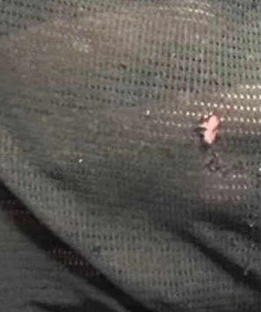 ガ*ラ様 The North Face Jester & Nike Elemen