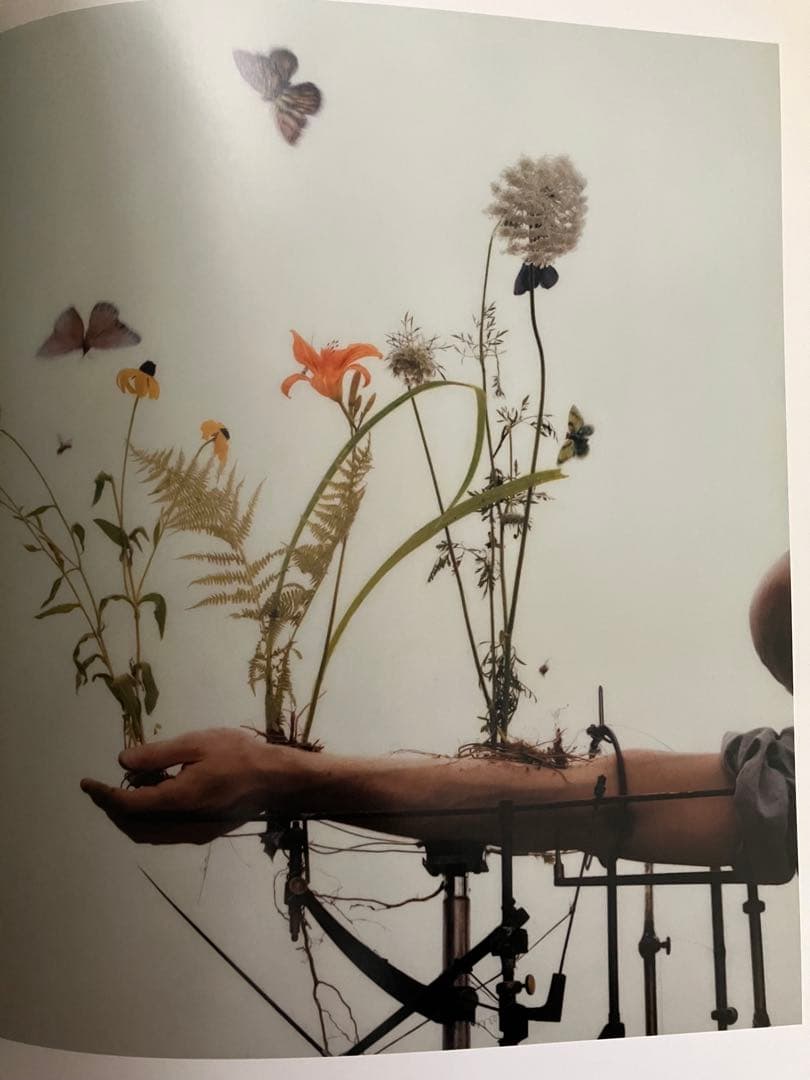 【超レア】counterpoint