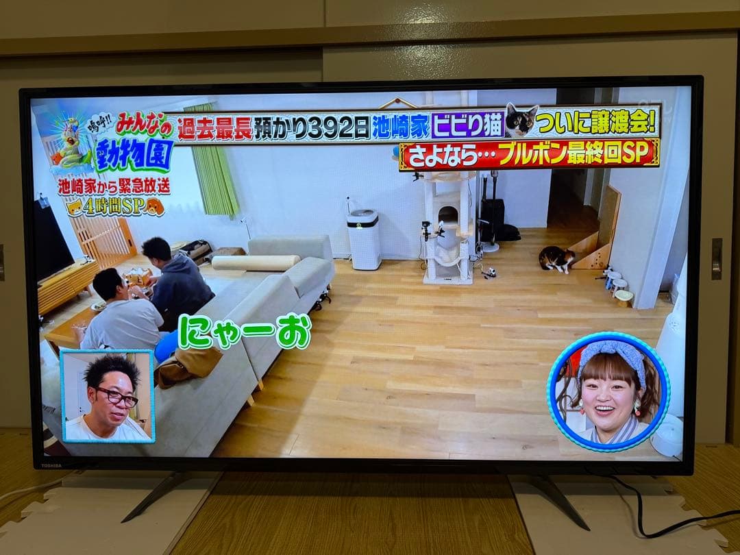 東芝　49C310X 49型2017年製⭕️上地、BS/CS動画可4k液晶テレビ
