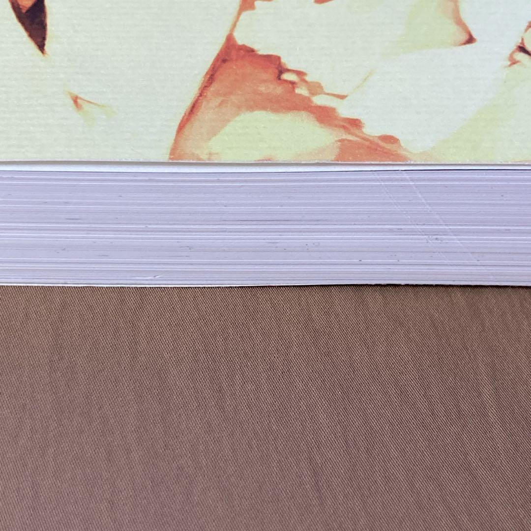 ⭐白詰草話 全原画集⭐大槍葦人⭐初版⭐LITTLE WITCH／ゲーム