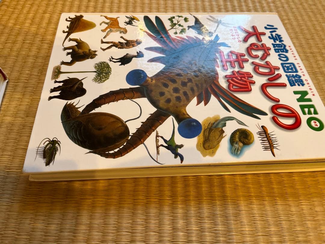 小学館の図鑑NEO 11巻セット