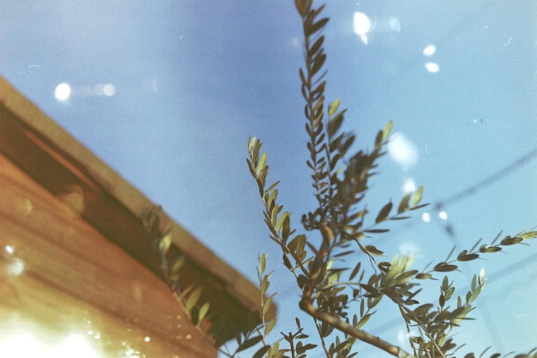 キヤノン IV Sb改(4Sb改)型 50mm F1.8レンズセット L39