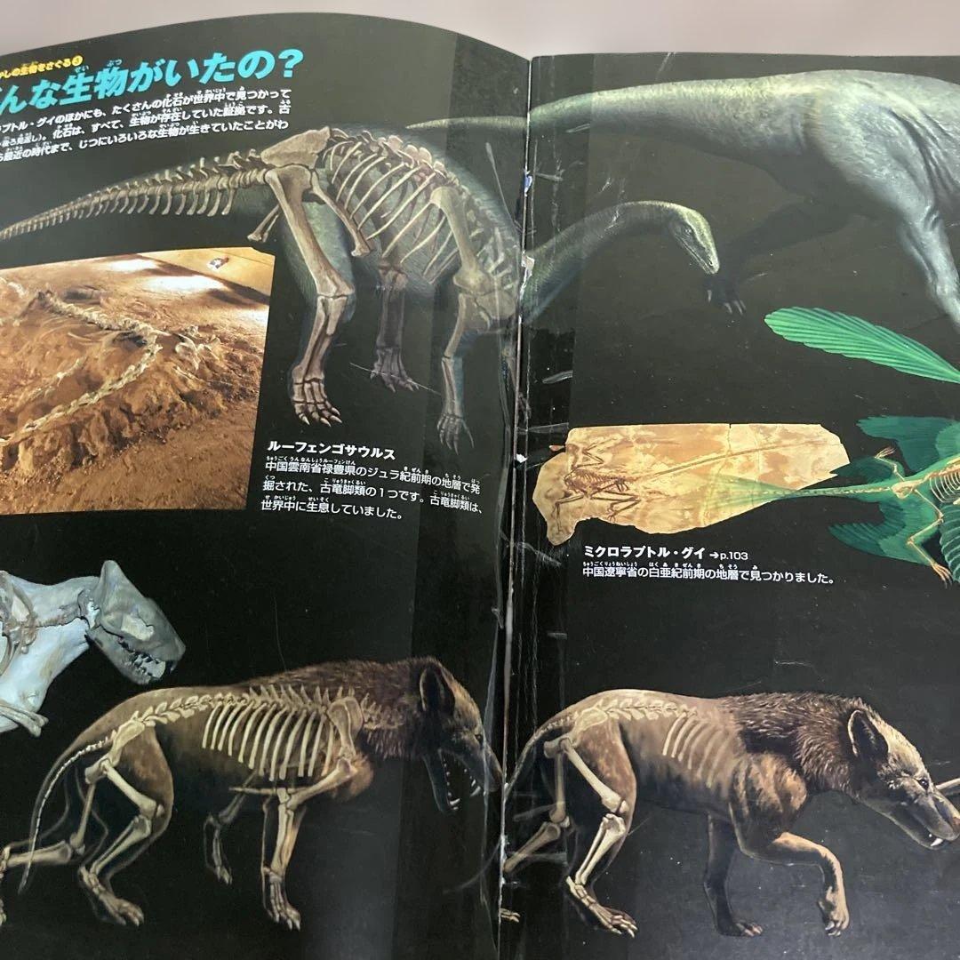 【小学館の図鑑】NEOシリーズ13冊セット①