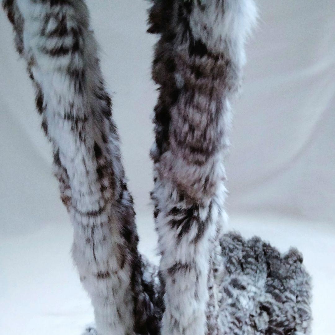 未使用タグ付き✨️ チンチラファー リアルファー マフラー