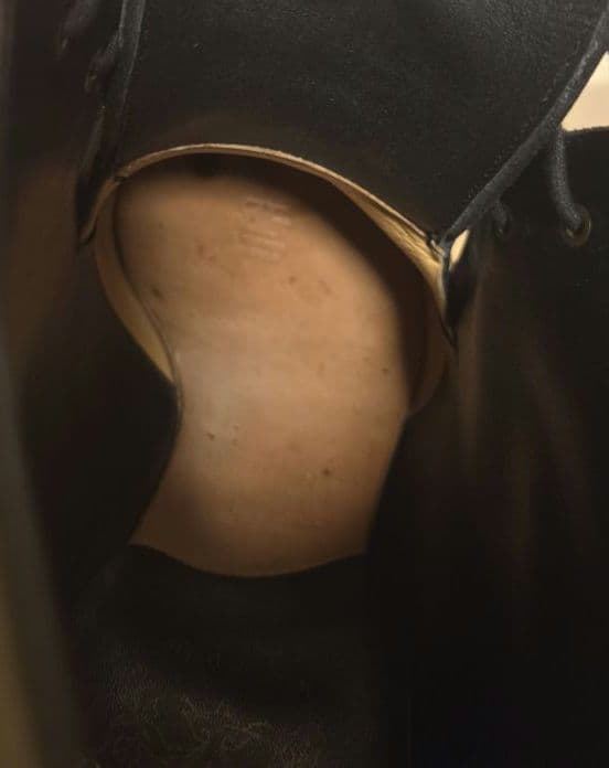 シェットランドフォックス 070F ボートン 8 1/2