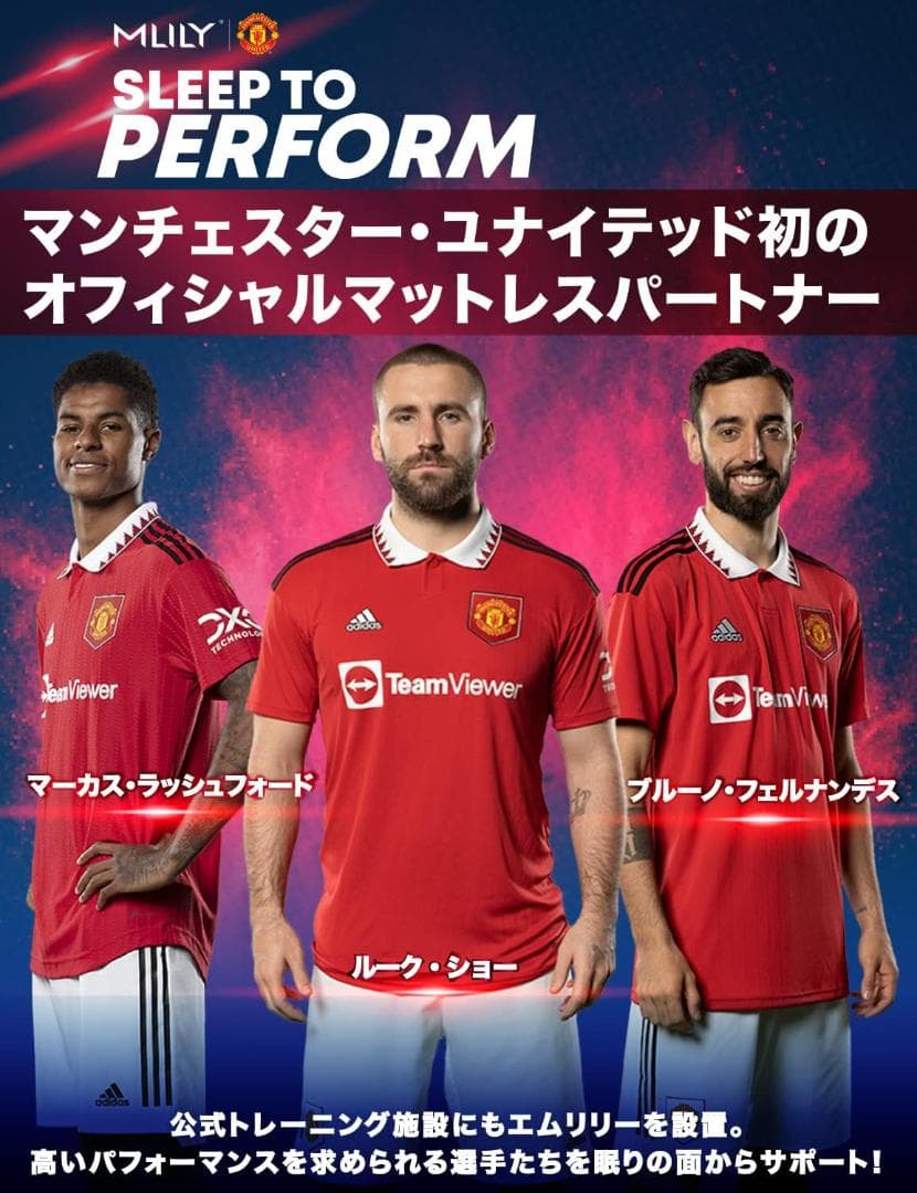 MLILY エムリリー マットレス トッパー 高反発＆低反発の二層式