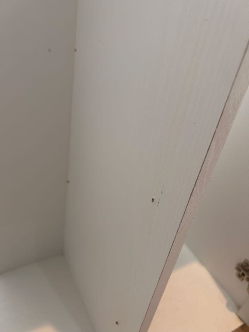 【アキ】水槽 フルセット 引き取り限定／CO2・LED・外部F付