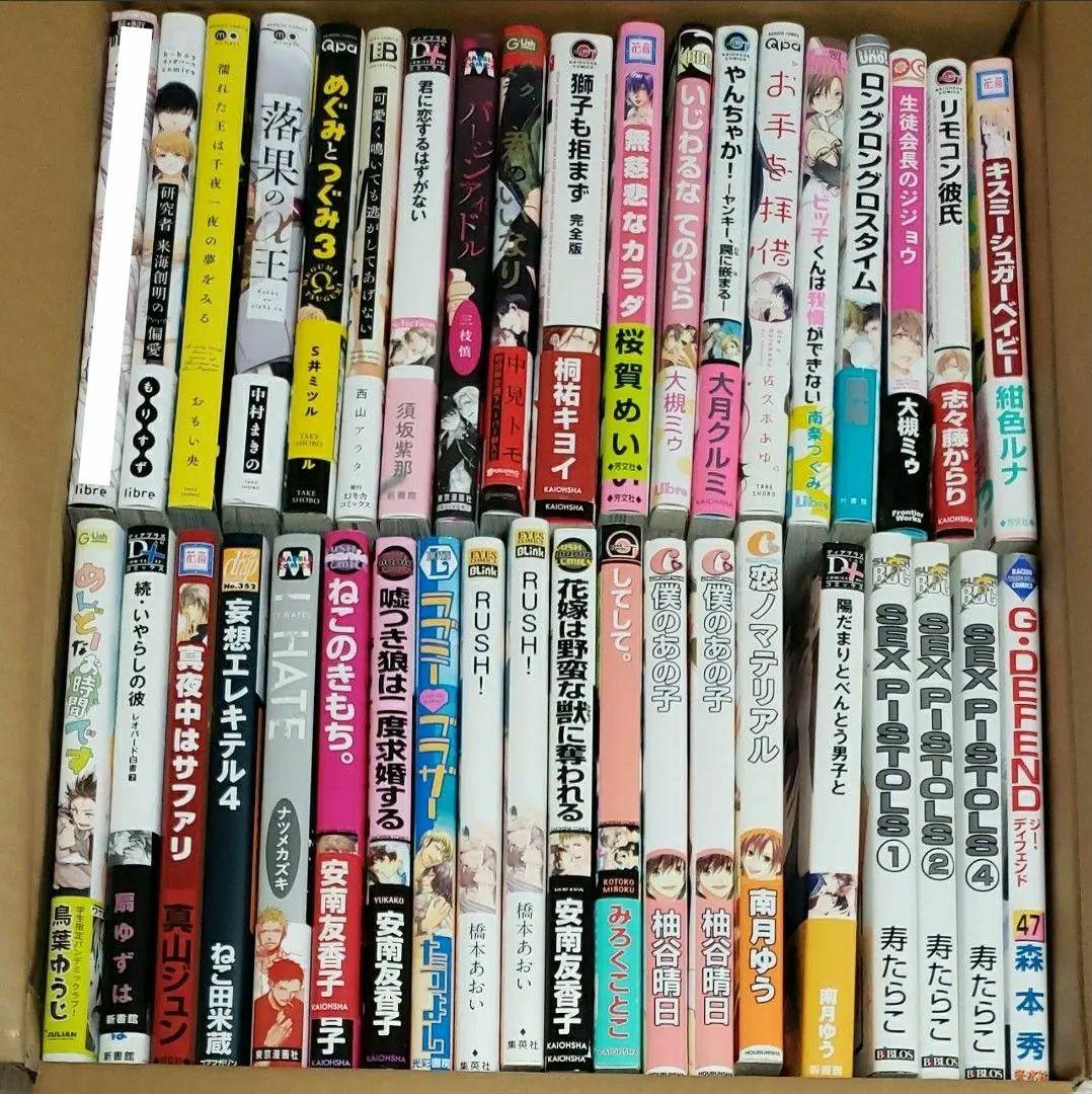 BLコミック まとめ売り バラ売り可 漫画 ボーイズラブ　⑯