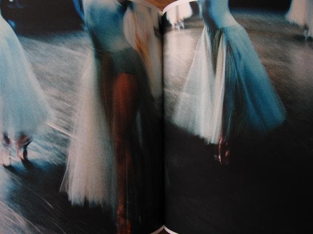 アート・デザイン・音楽 Photographs of the New York City Ballet