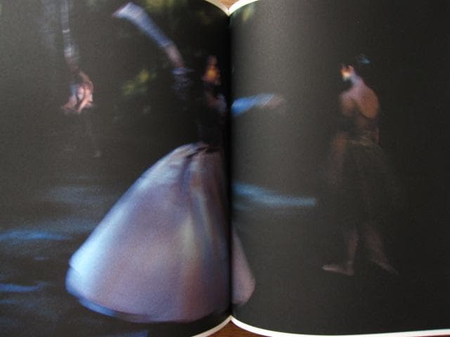 アート・デザイン・音楽 Photographs of the New York City Ballet