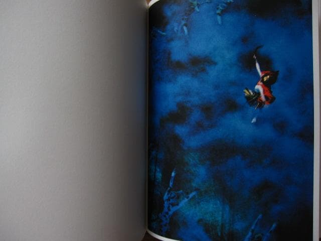 アート・デザイン・音楽 Photographs of the New York City Ballet