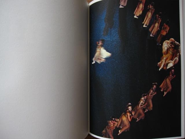 アート・デザイン・音楽 Photographs of the New York City Ballet