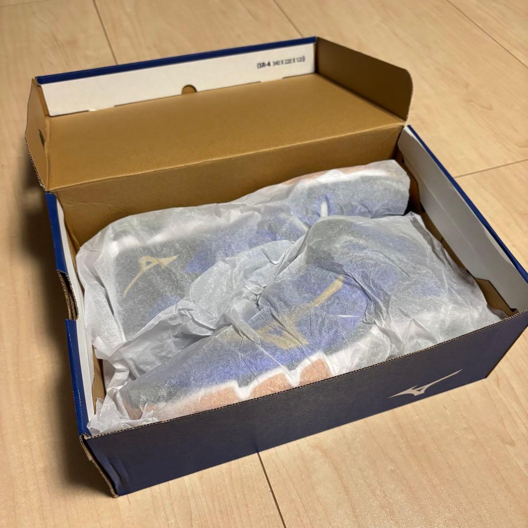 ミズノ バレーボールシューズ 29cm ハイカット ウェーブライトニング