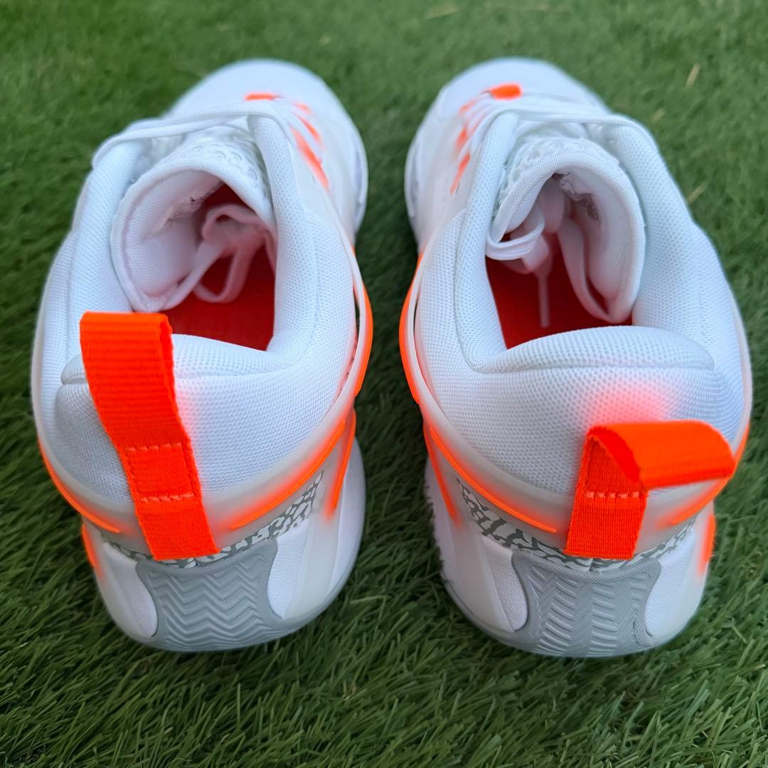 JORDAN HEIR PF 限定カラー27.0cm US9