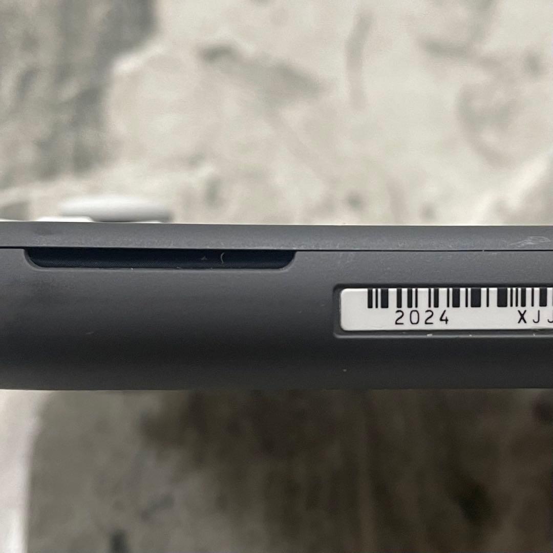 Nintendo Switch Lite グレー 本体　本体のみ