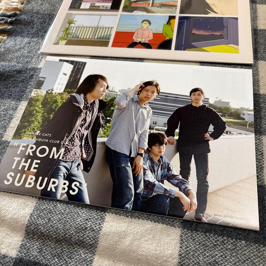 シャムキャッツ AFTER HOURS レコード　アナログ