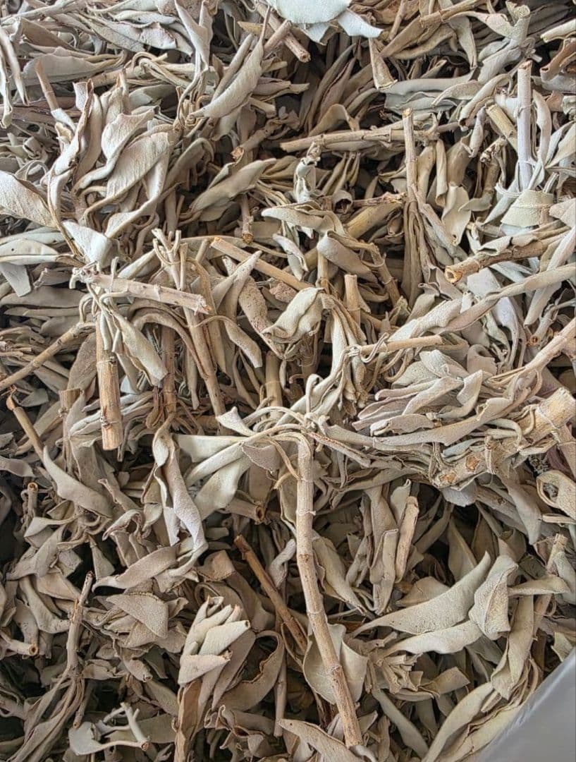 激安価格☆無農薬ホワイトセージ枝付きクラスター1kg箱入りお香浄化業務用価額