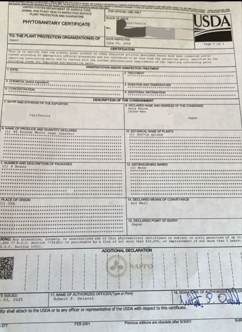 激安価格☆無農薬ホワイトセージ枝付きクラスター1kg箱入りお香浄化業務用価額