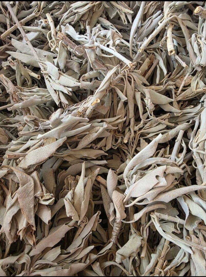 激安価格☆無農薬ホワイトセージ枝付きクラスター1kg箱入りお香浄化業務用価額