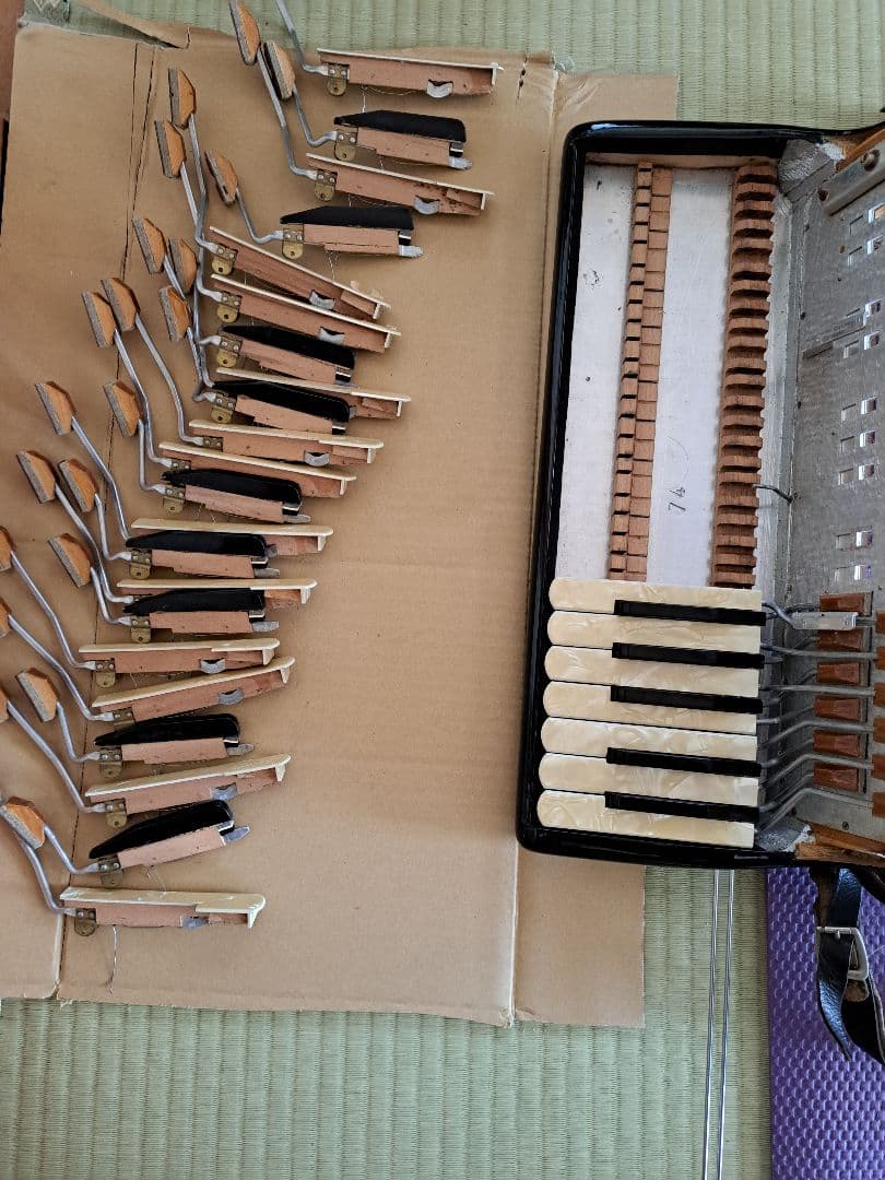 EXCELSIOR アコーディオン 34鍵120ベース