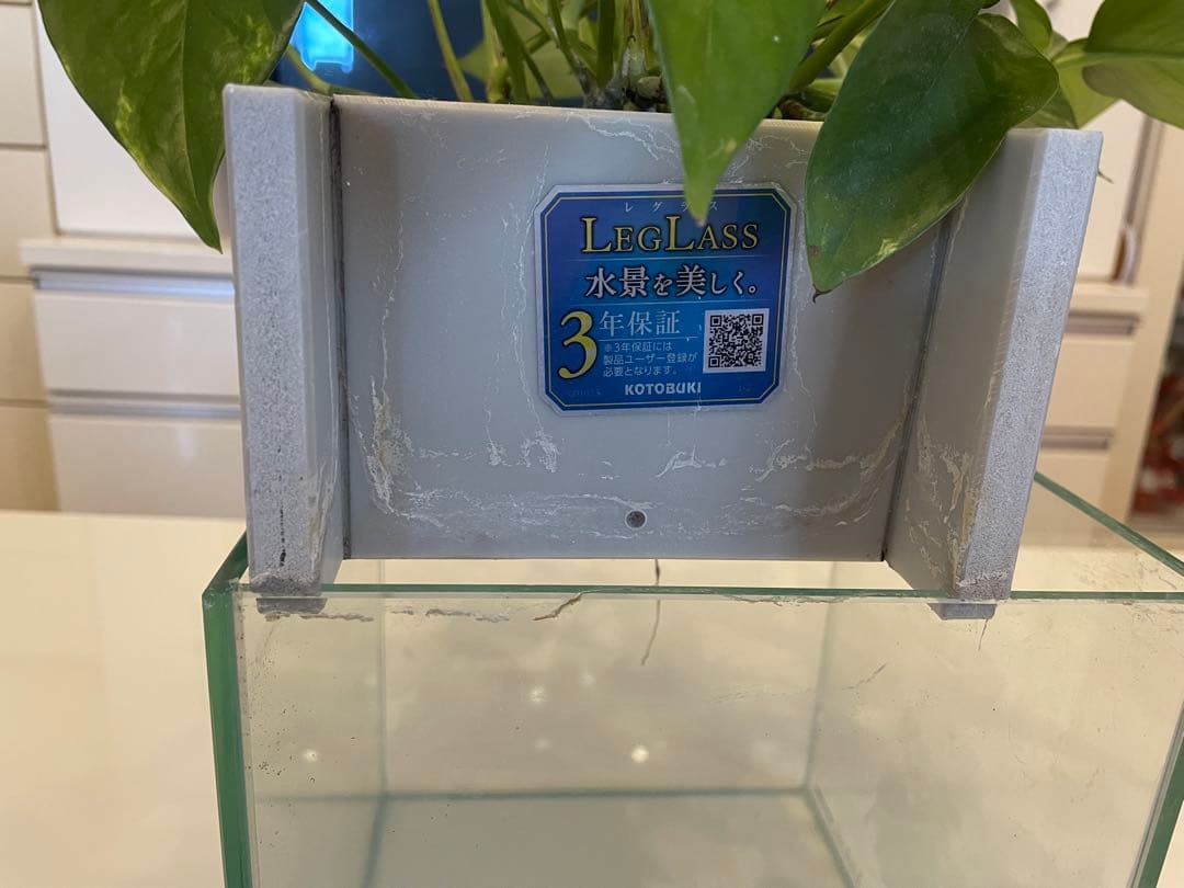 水槽　せせらぎビオトープ