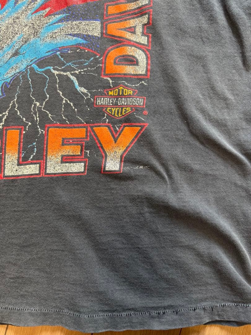 Harley Davidson ハーレーtシャツ taka着似サンダースパイダー