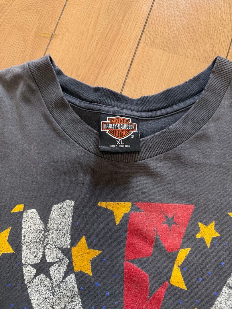 Harley Davidson ハーレーtシャツ taka着似サンダースパイダー