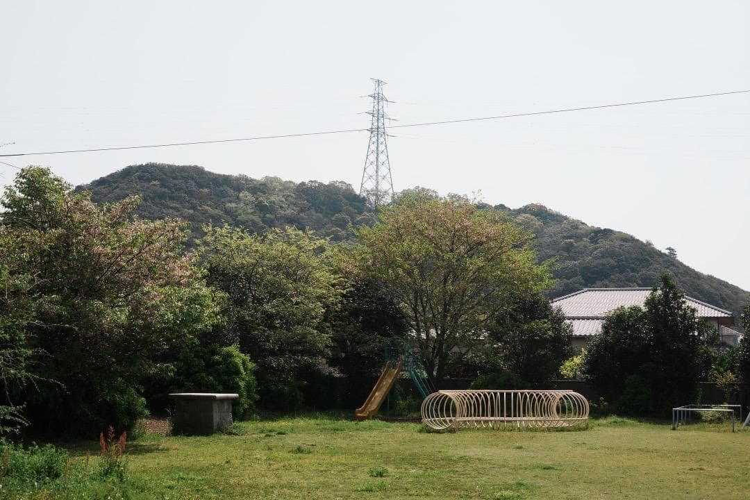 オリケ【美品】Ai Nikkor 50mm F1.8 625