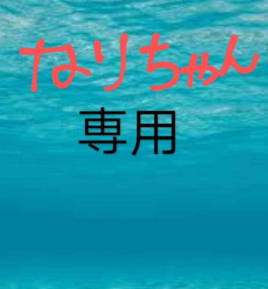 筋子塩２ｋ 切れたらこ２ｋ なりちゃん