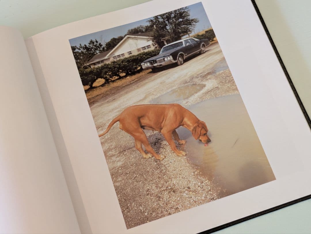 【新品】William Eggleston's Guide / エグルストン