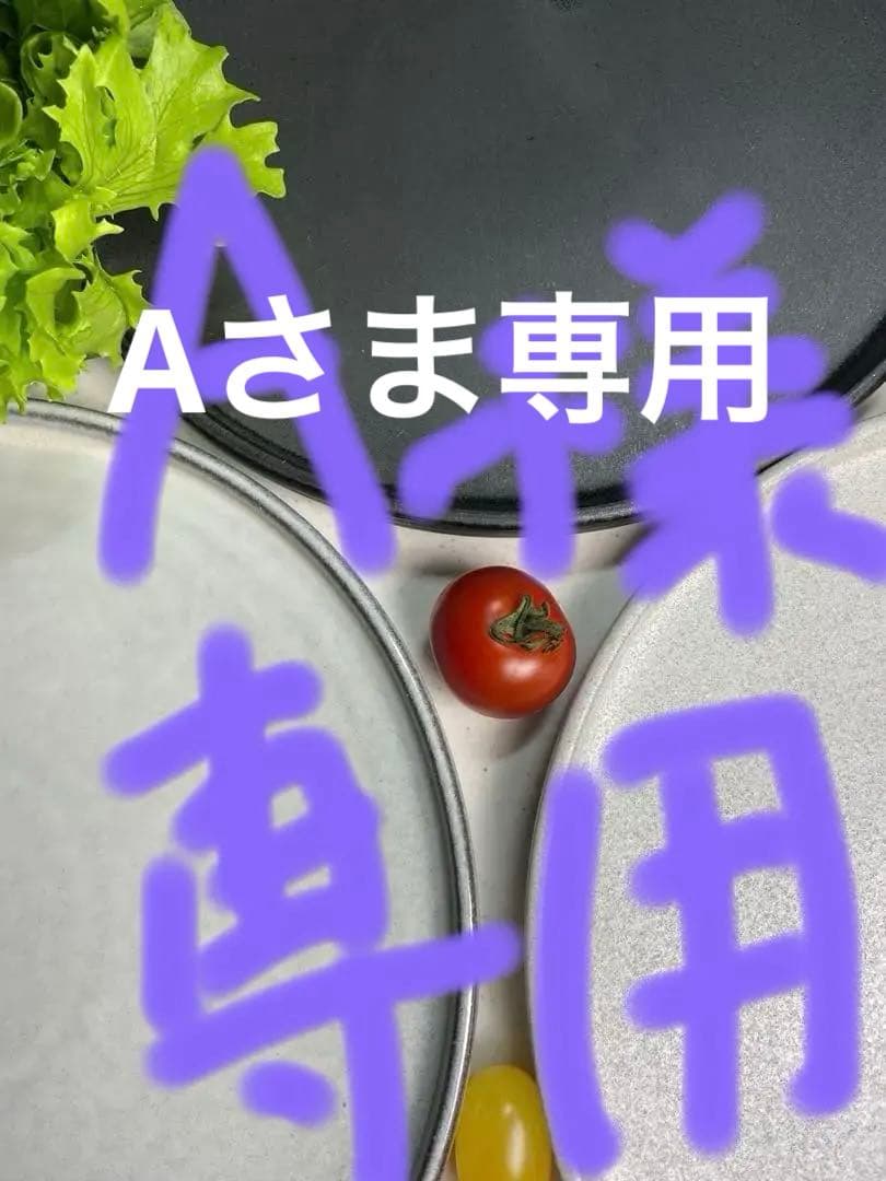 新品　美濃焼　イタリアンなどお店でも使われている7.5皿ディナープレート　3枚