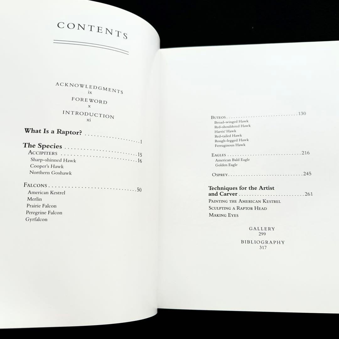 タカ ハヤブサなど猛禽類 写真集「Birds of Prey」フロイド・ショルツ