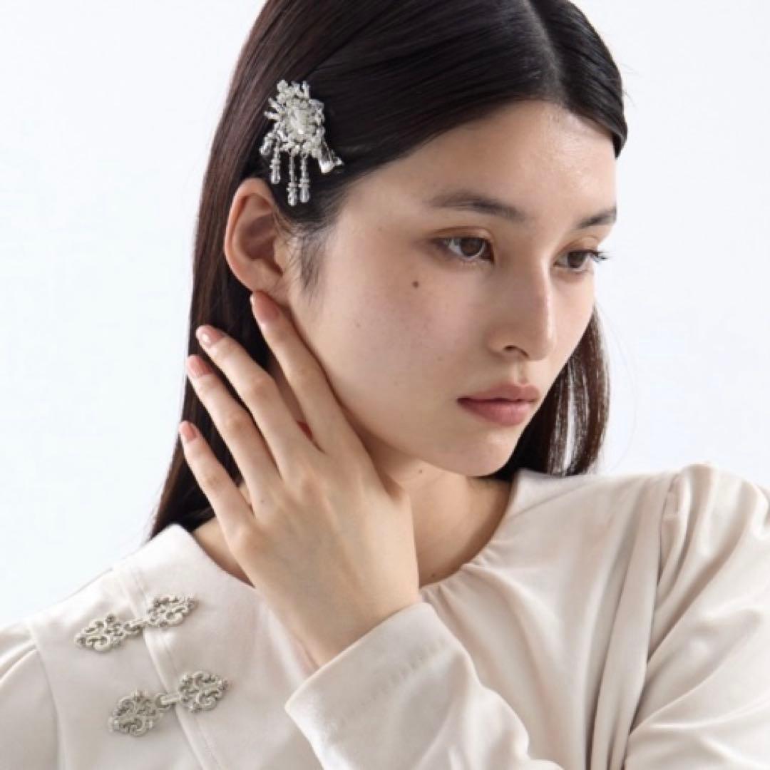 crystal hair clip right タナカダイスケ