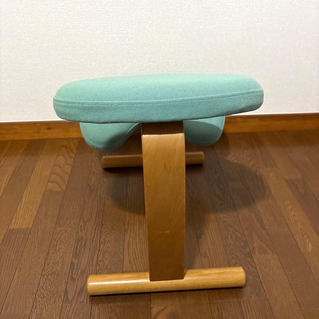 【匿名配送】バランスイージー Rybo 通常フレーム