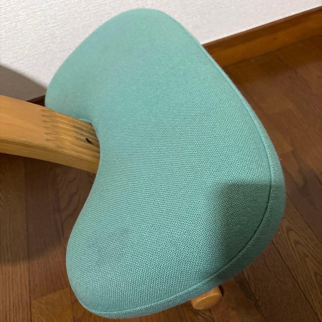 【匿名配送】バランスイージー Rybo 通常フレーム