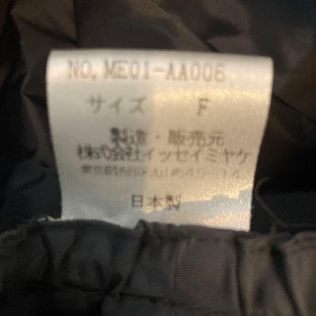 イッセイミヤケ ダークグレー　ナイロン　帽子　キャスケット F フリー　キャップ