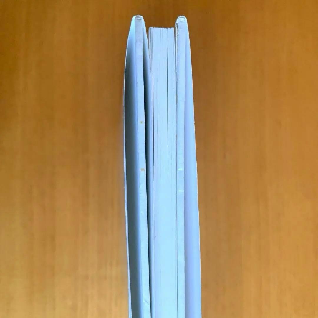 バーゼルへの道　ヘルムート・シュミット