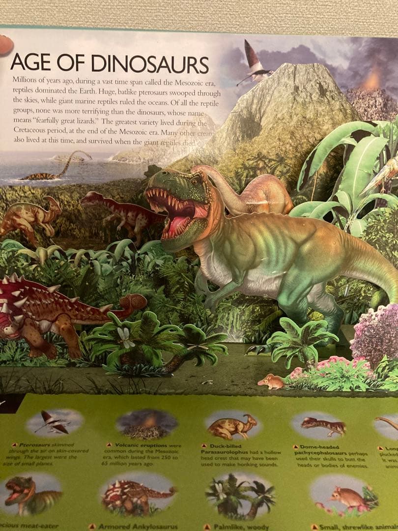 洋書多読　図鑑など7冊　恐竜　鉱物　古生物encyclopedia 人体