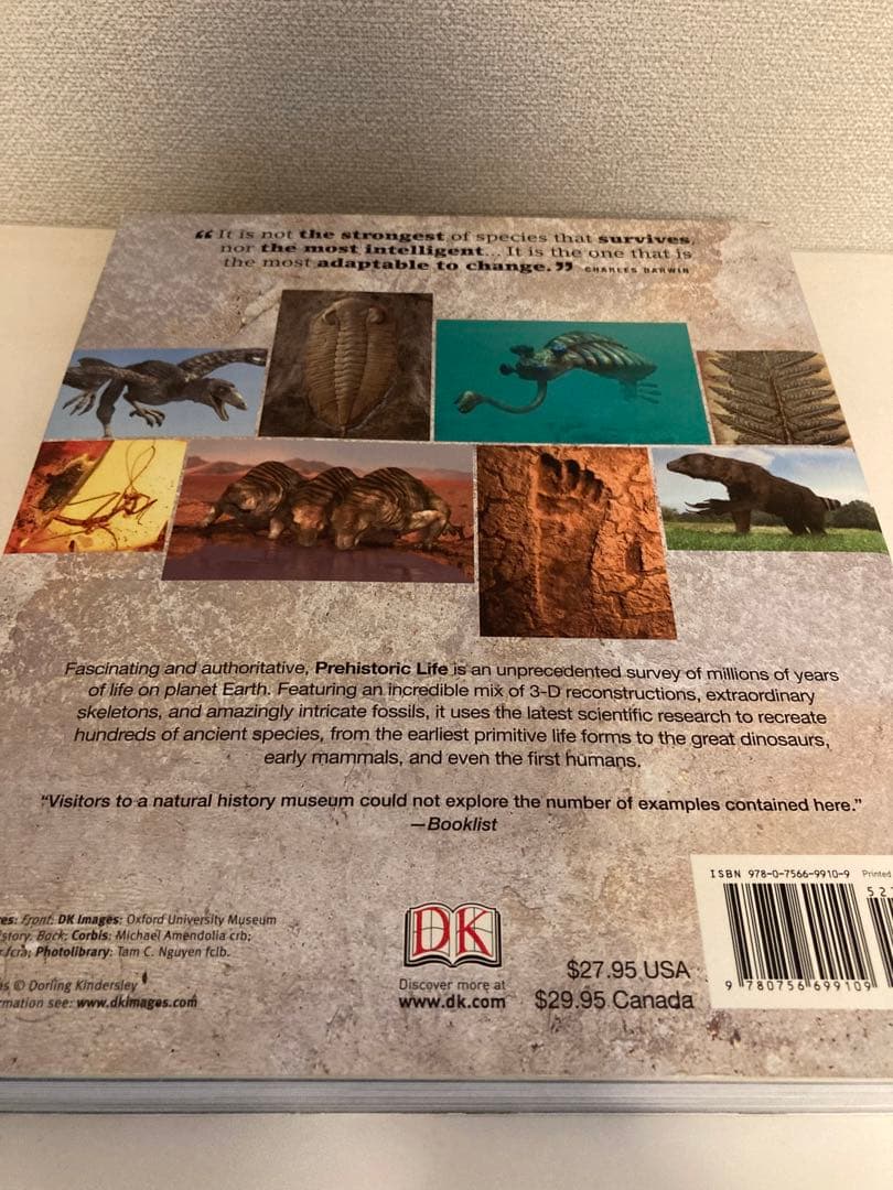 洋書多読　図鑑など7冊　恐竜　鉱物　古生物encyclopedia 人体