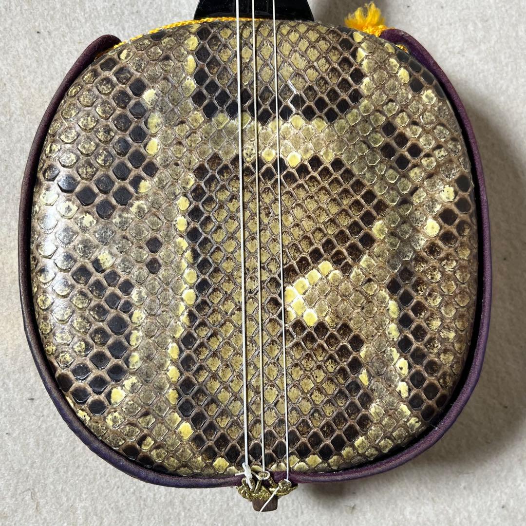 三線 本皮 強化張り 本革 蛇皮 蛇革 沖縄 三味線 琉球 ハードケース