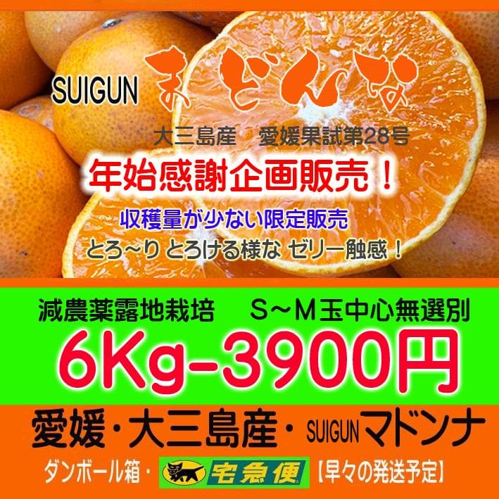 【エン】みかんジュース500ｍｌ×6本＊2箱+S・Mマドンナ6Kg