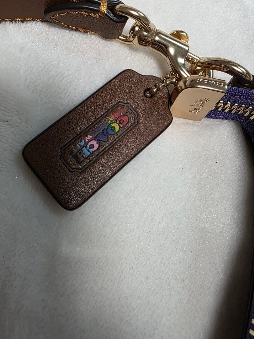 Coach マルチカラー ショルダーバッグ