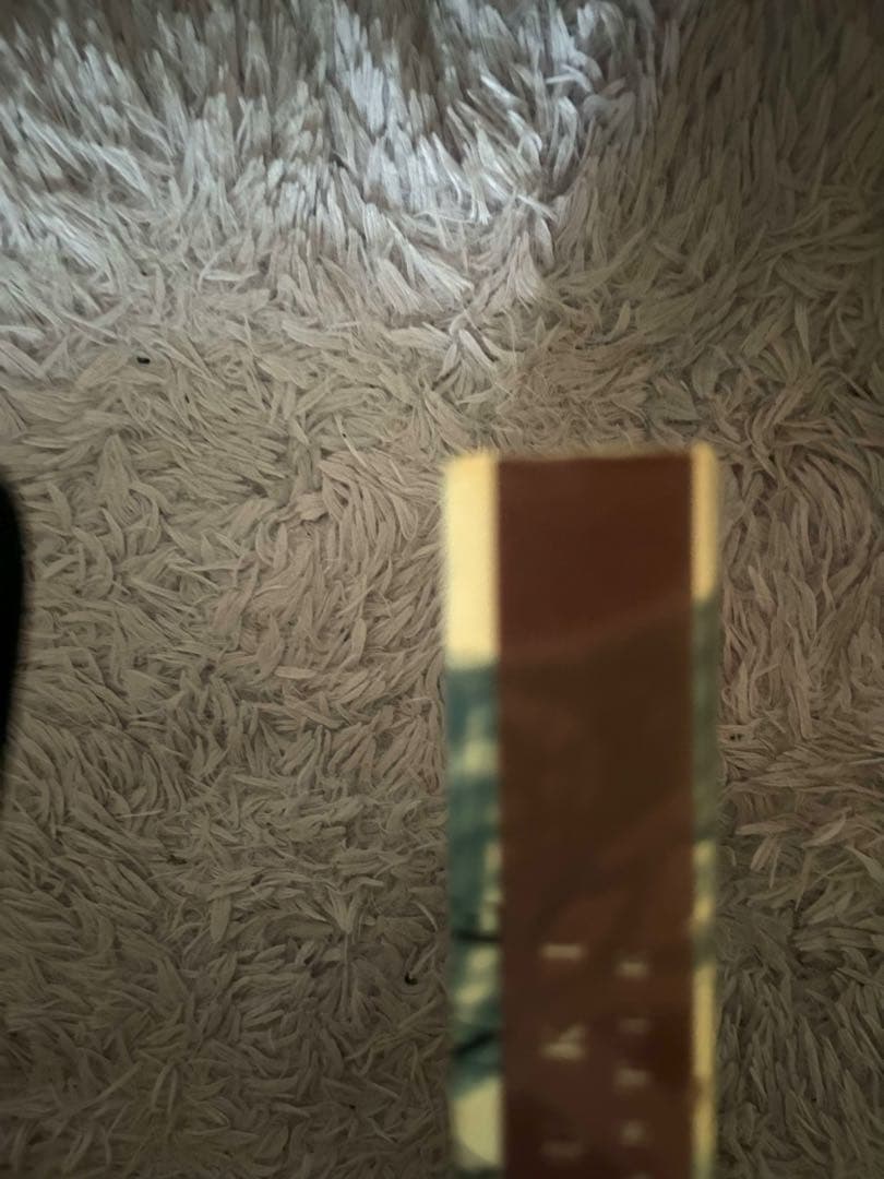 エスカフローネ　エスカフローネ　FAN BOOK 2 高い城の男　結城信輝